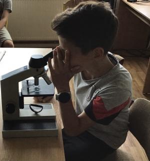 Pozorování